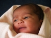 Aysha Afifa