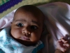 Aysha Afifa