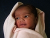 Aysha Afifa
