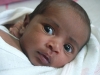 Aysha Afifa