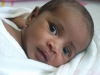 Aysha Afifa