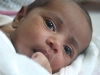 Aysha Afifa