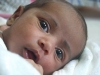 Aysha Afifa